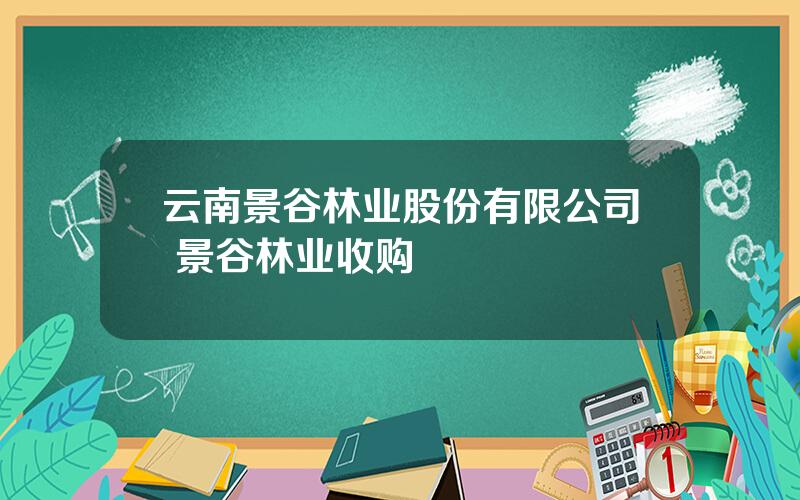 云南景谷林业股份有限公司 景谷林业收购